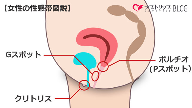 体外式ポルチオとは？腹イキ開発のやり方やイキ方のコツ、おすすめグッズ等を紹介｜風じゃマガジン