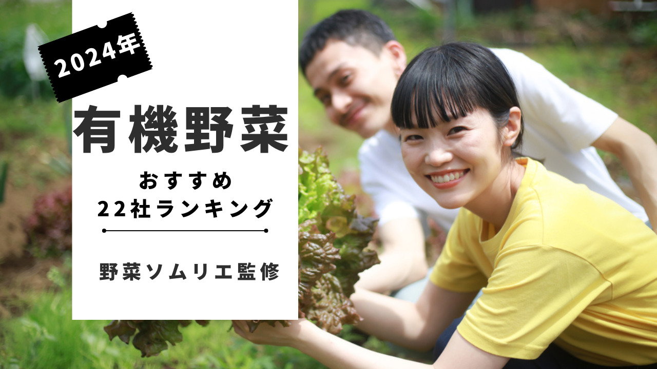 検索してはいけない言葉「優木あおい 宅配」危険度6 #検索してはいけない #検いけ