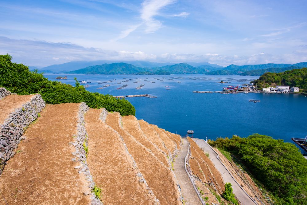 画像・写真 | 窪塚洋介、長男・愛流とイベント共演に感慨「夢にも思いませんでした。いいもんです」 3枚目