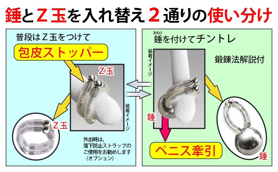 ペニス増大に重要な組織【白膜・筋膜・海綿体・平滑筋・靭帯】について | イケオジの嗜み