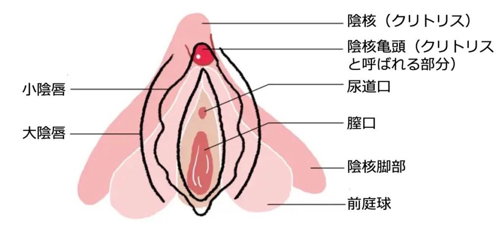 新感覚】めちゃめちゃ気持ちいいシャワーオナニーのやり方と注意点｜Cheeek [チーク]