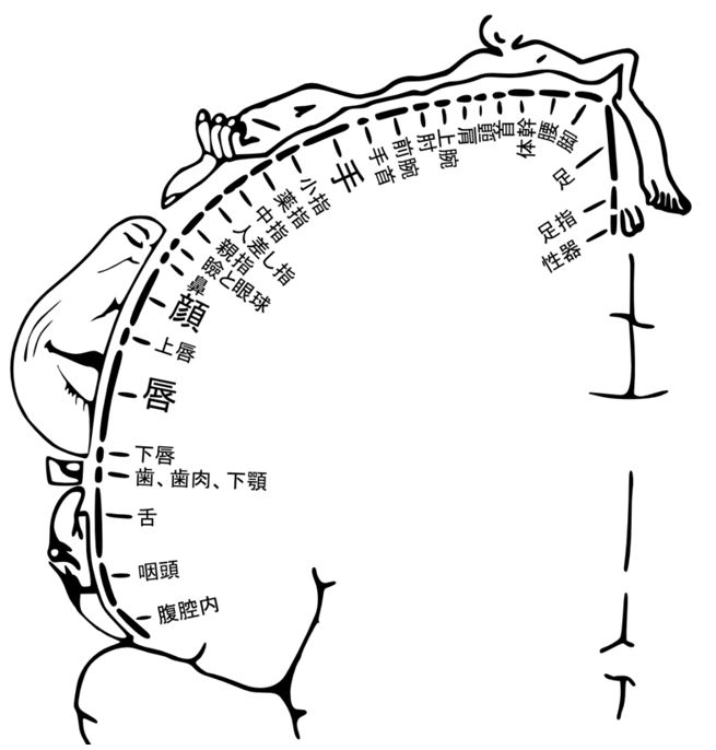 乳首が感じる女のこだわりを満たしてあげます | オフパコエッチな体験談