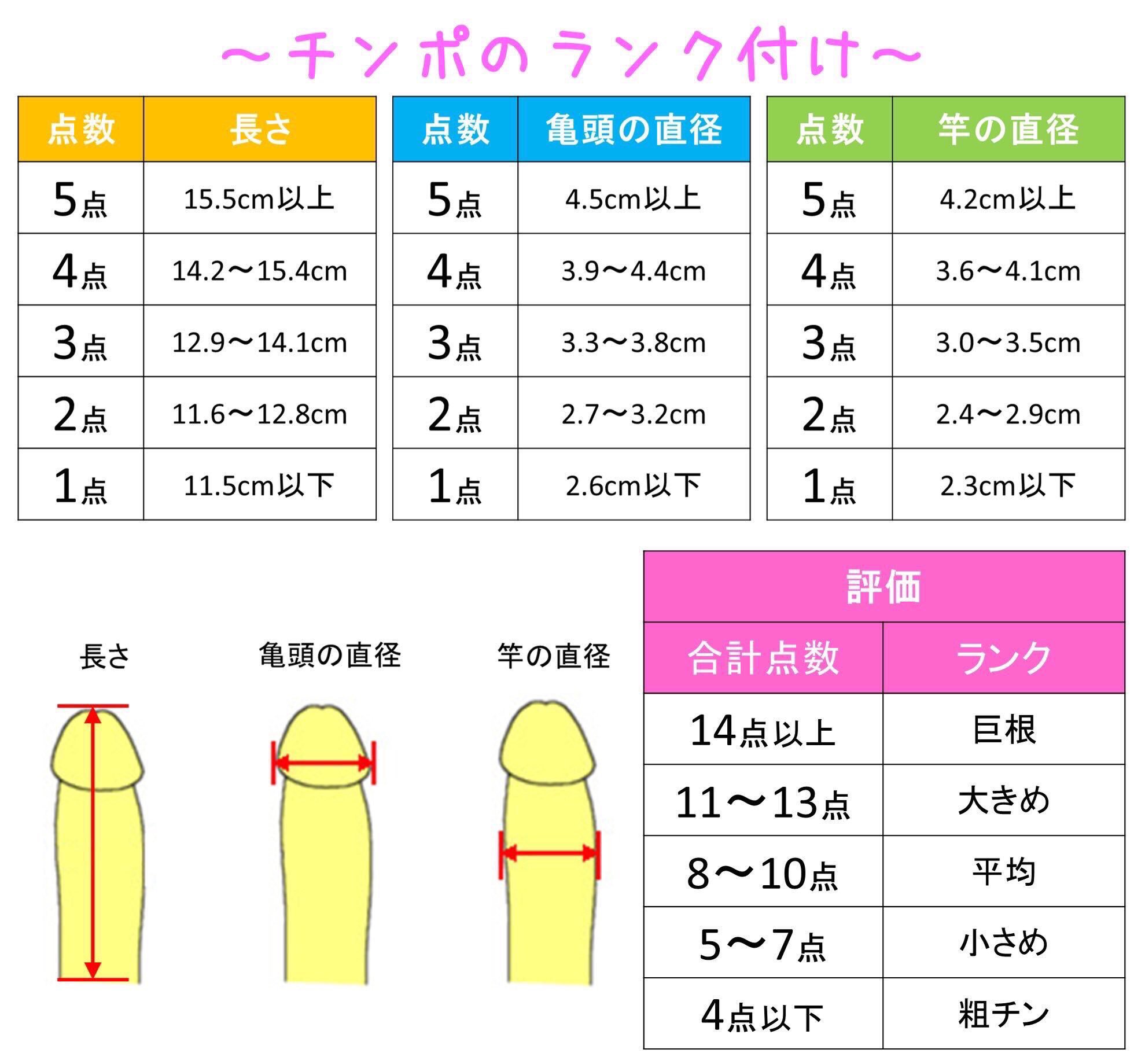 風俗嬢は巨根な客をどう思う？デカチン・粗チンどっち派？