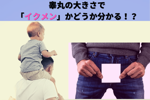 睾丸を大きくする方法！イケメンは睾丸が小さい説 – メンズ形成外科 | 青山セレス&船橋中央クリニック