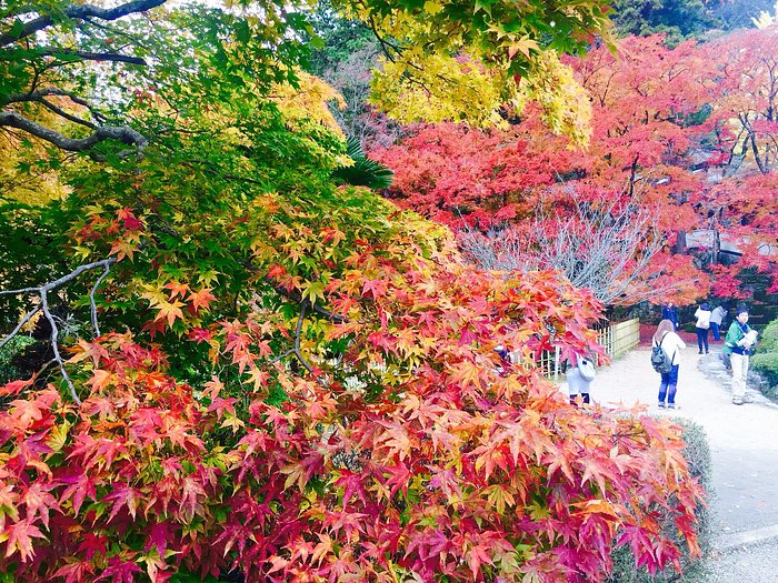 公式】瀬戸内海を望むレストラン｜モンペリエオーヴェルジュ｜香川県さぬき市