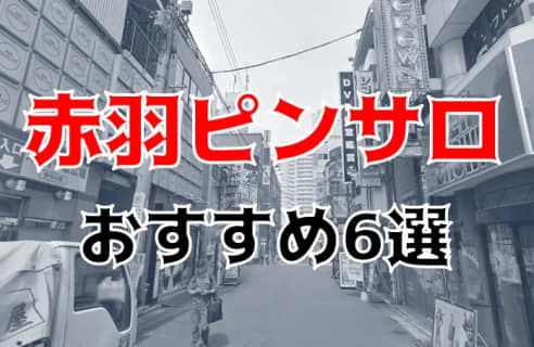 府中駅周辺(東京)のピンサロ嬢ランキング｜駅ちか！