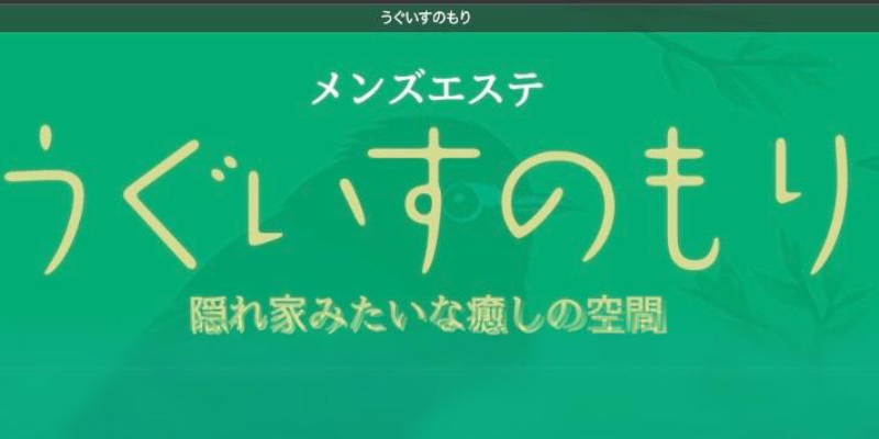 鶯谷のメンズエステおすすめランキング！口コミ評判は？日本人セラピストを選ぶならココ！｜メンズエステのおすすめランキングサイト「極セラ」