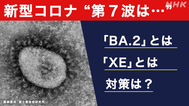 いま、改めて知りたい 新型コロナウイルス感染症とわたしたちにできること