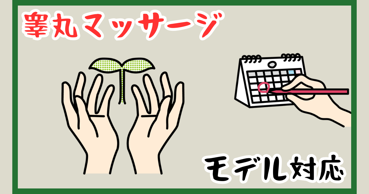 勃起力を高める!?睾丸マッサージとは？気持ちいいやり方を紹介