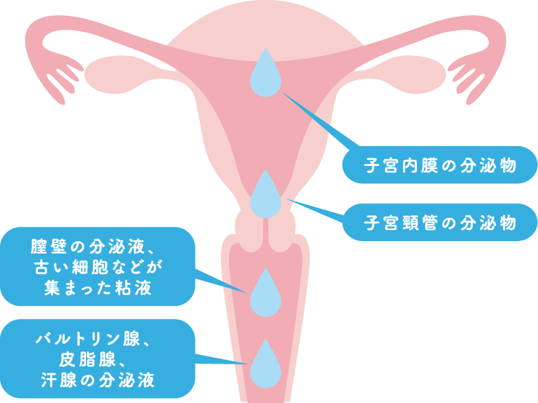 精液って実際どんな味？喫煙者の精液はまずい!?白濁液のアレコレ調べてみた｜BLニュース ちるちる