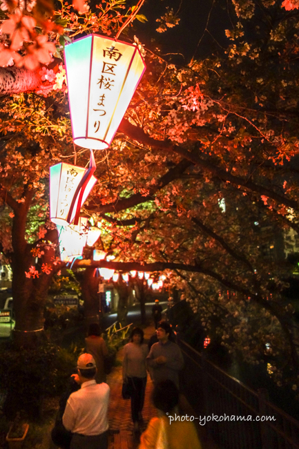 関内まちづくり振興会 - 関内で夜桜イベントやりますので、是非、関内の八重桜をみながら飲みまひょ！https://t. | Facebook