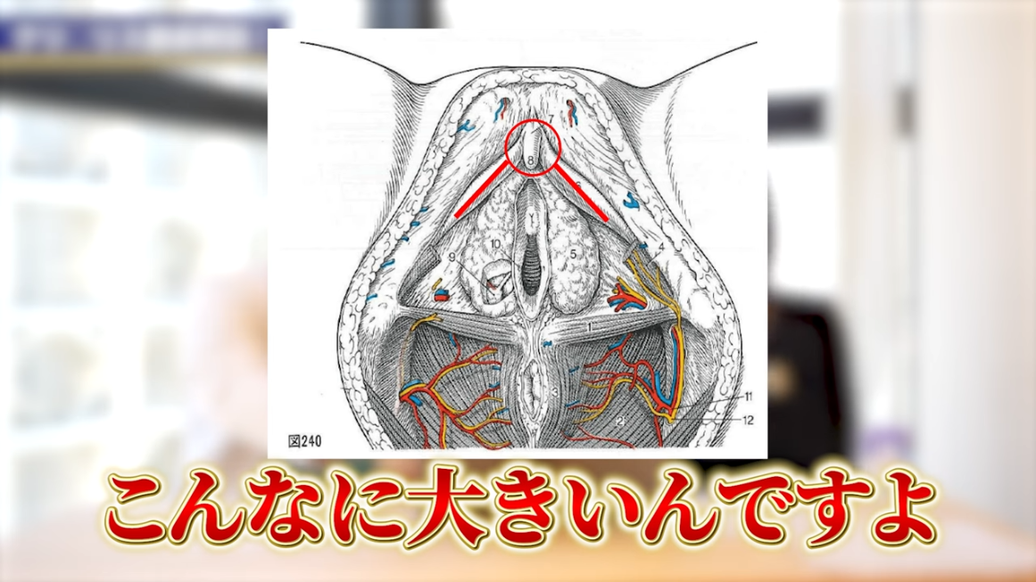 彼が喜ぶ愛撫とは？ペニスマッサージのコツ - 夜の保健室