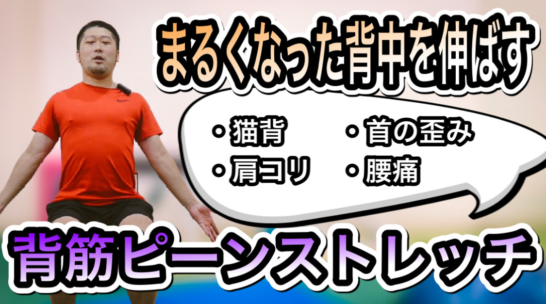 りぶはあと 背筋ピーン抱き枕 ディズニー