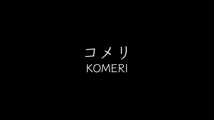 コメリプロが、来た～♪ - ダダのミシン屋日記『ジャノメミシン米沢店です』