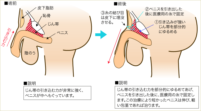 霽月庵 上総（かずさ） on X: