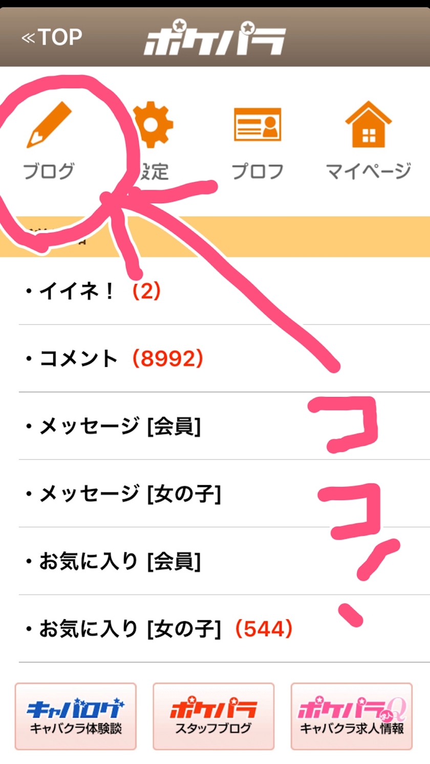 ポケパラＧ（ゴールド）とは？ [ポケパラ]