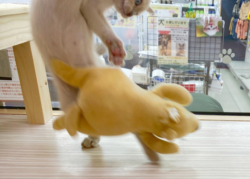 横顔 - ライフスタジオ横浜青葉店 | 神奈川県