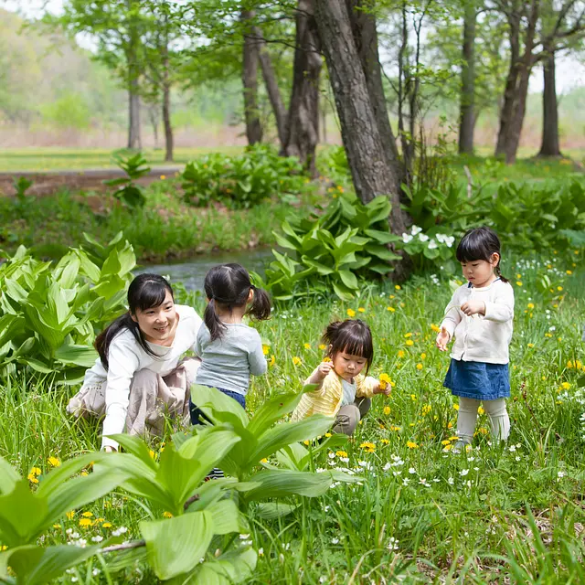 康園大地之焠的比價推薦- 2024年12月|飛比價格