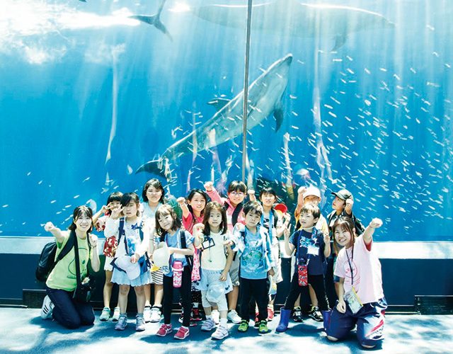 2024年】伊勢夫婦岩ふれあい水族館(伊勢シーパラダイス)の割引券・クーポンまとめ