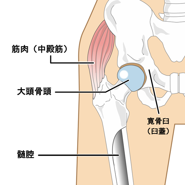 川崎市多摩区で肉離れで悩んでいる方へ | 登戸整体 足の専門院