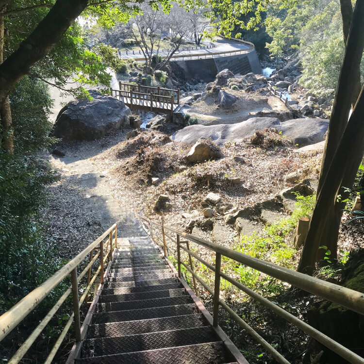 ゆらり＊ シャインマスカットプリン大福 470円 【大分県由布市湯布院町】