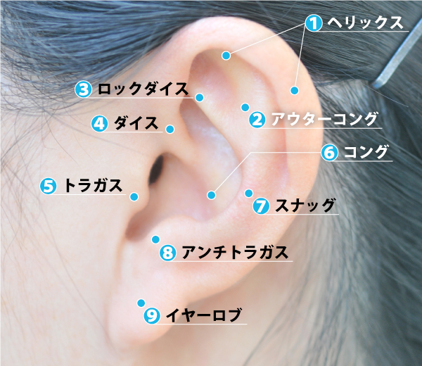 つい先程舌ピを開けたんですけれどもこれって手前すぎですかね‪(•̥ˍ•̥)‬ - Yahoo!知恵袋