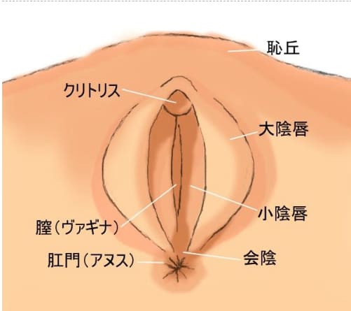 足が震えるまでマンコを舐める。