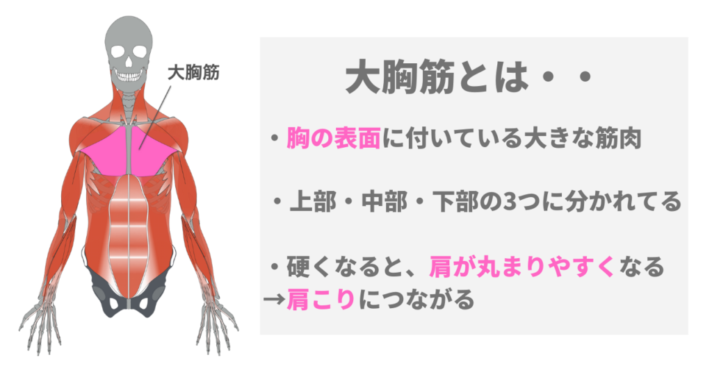 1分間！胸の脂肪を落とす！自宅で道具なしで立って静かにできる！