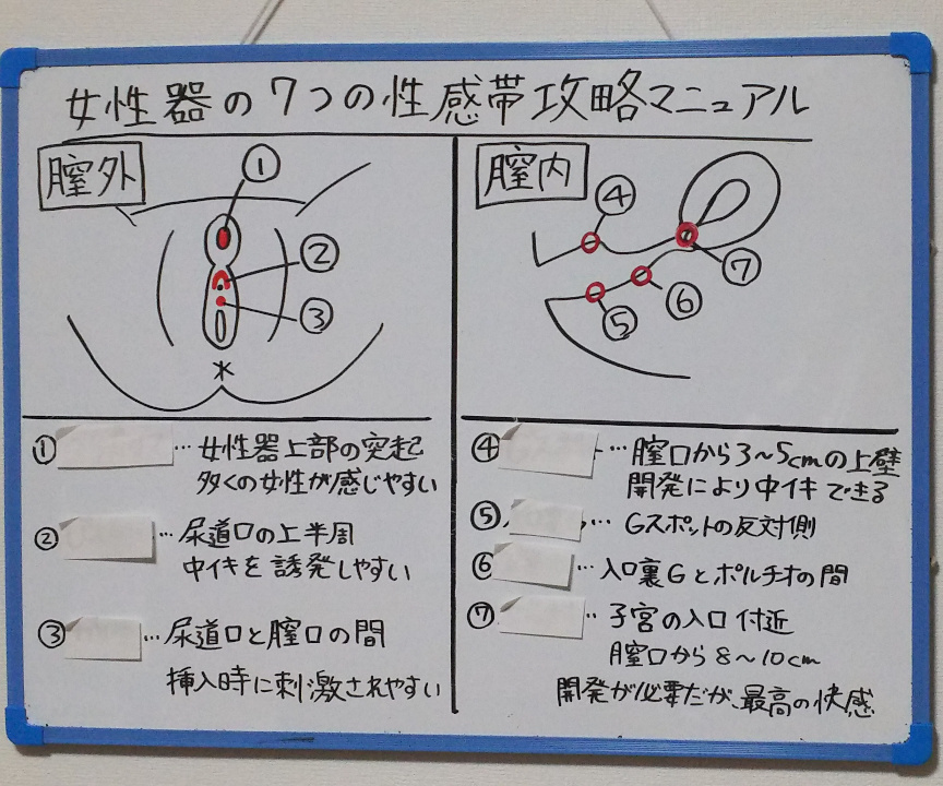 ６割以上の人が性癖あり!?フェチやSEX事情を男女1000人に大調査！ | ViVi