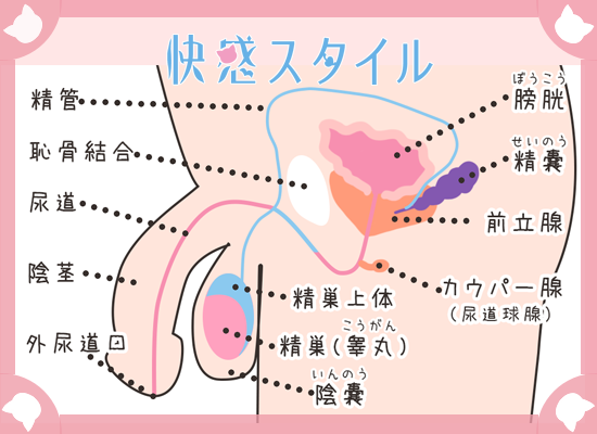 Langer 前立腺責め 二重ロック付き 9種振動