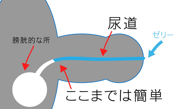 尿道開発排尿オナニー講座 [紳士な変態] |