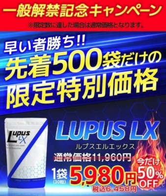 60〜120cm]大型オナホール処分申込 ※単体注文不可丨大人のおもちゃとアダルトグッズ専門店ワイルドワン