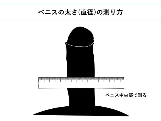 ペニスの大きさ平均は13cm！女性の理想サイズはさらにデカい！？｜薬の通販オンライン