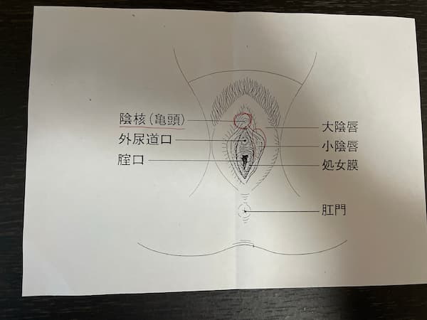 クンニのやり方を学ぶ【日暮里駅前クンニ塾】