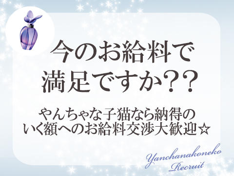 5月の猫の日は12日(金)、22日(月)開催です☆彡 : やんちゃな子猫むきたまごグループのブログ