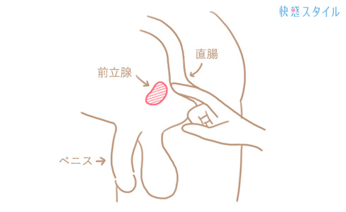 メスイキコース – 大阪・日本橋 SM 女王様専科