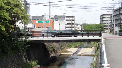 写真 : 江戸鮨 -