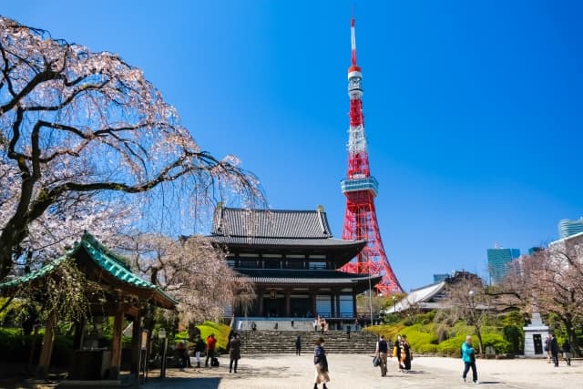 配線されていない場所にアウトドアスポットライトを設置しました（東京都杉並区のお客様） – てるくにでんきの毎日は照明器具の毎日