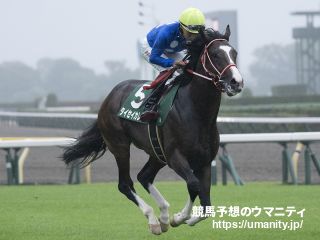 カンテレ競馬 on X: