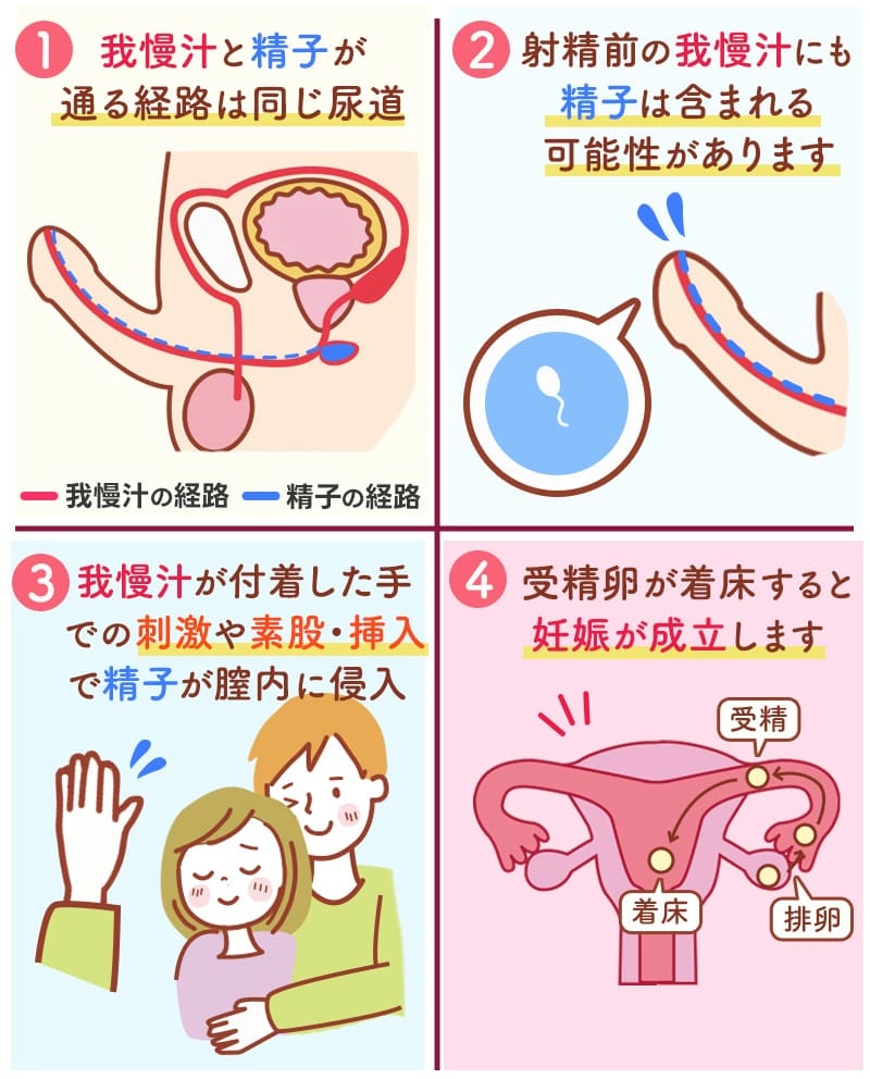 我慢汁の妊娠確率｜外出しで妊娠する？仙台駅前婦人科クリニック