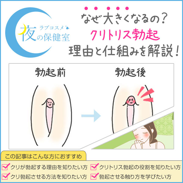 チンパブ（ちんぱぶ）とは？女性版向けのおさわり系ホストクラブの実態について