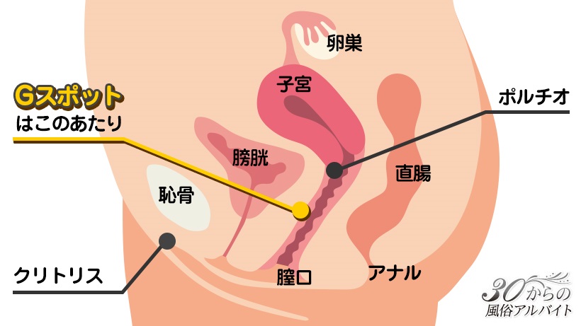 潮吹き専用バイブ 上下伸縮Gスポット刺激 超静音 –