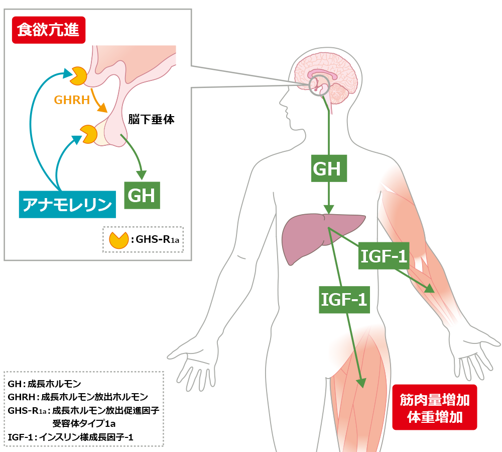 SNSのモヤモヤとの上手なつきあい方 - 株式会社あさ出版