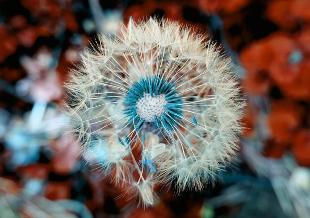 初ごっくん】精子の味を教えてください！ | TikTok