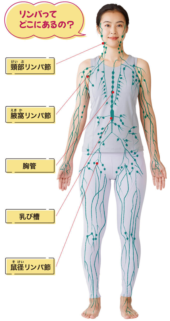 常に前のめり姿勢のテレワークで、首すじがパンパン…。「胸鎖乳突筋ほぐし」で老廃物スッキリ！／すごいストレッチ⑦ | ダ・ヴィンチWeb