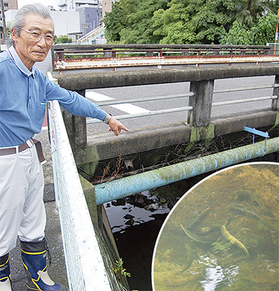 ホームズ】ファミーユ柿生 2階の建物情報｜神奈川県川崎市麻生区王禅寺西7丁目26-16