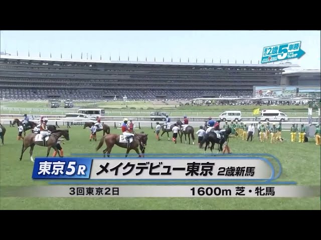 東京5R新馬戦結果】レイデオロ産駒サトノパトリオットが初陣飾る（netkeiba）｜ｄメニューニュース（NTTドコモ）