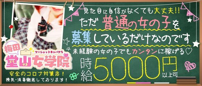 セクキャバ嬢は固定高時給を稼げる！仕事内容・給料・求人方法など解説！｜風俗求人・高収入バイト探しならキュリオス