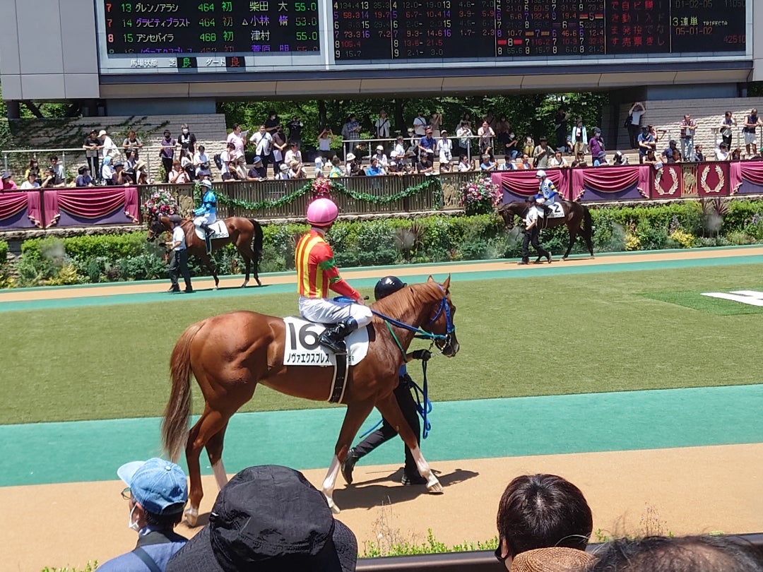 ４・５億円馬ダノンエアズロック初陣Ｖ 鞍上レーンは東京新馬５戦全勝／新馬戦 - ２歳馬特集