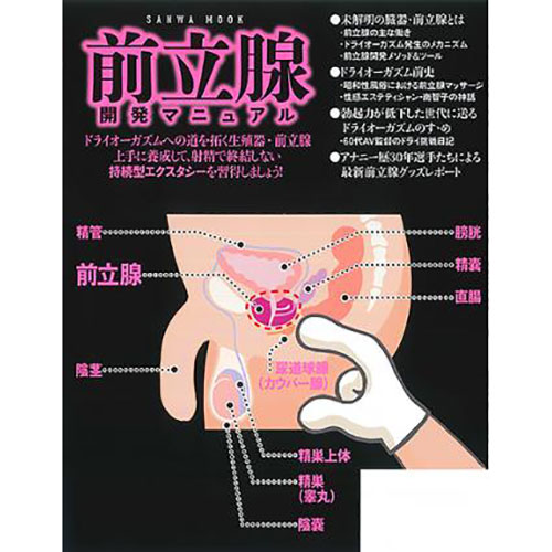 アナルバイブ 前立腺マッサージ 前立腺 男性用 アナル開発